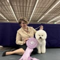Kaos at Brandon Dog Show Yesterday!
