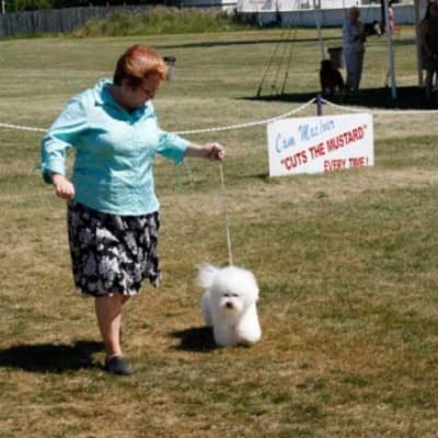 Photo from 2007 BFCC National Specialty