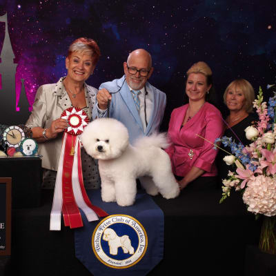 Photo from WINS IN 2019