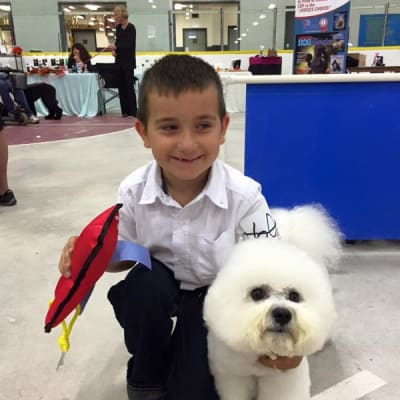 Photo from BFCA NATIONAL SPECIALTY 2017 ATLANTA GA 