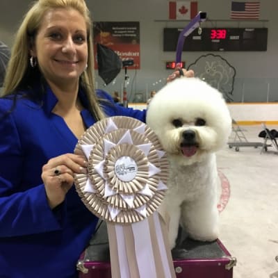 Photo from BFCA NATIONAL SPECIALTY 2017 ATLANTA GA 