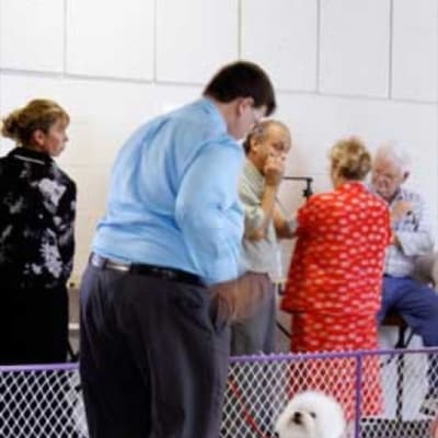 Photo from 2007 BFCC National Specialty