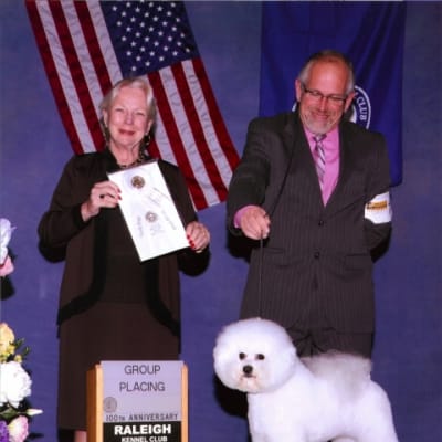 Photo from 2008 American Bichon Frise wins