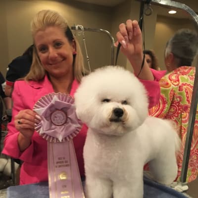 Photo from BFCA NATIONAL SPECIALTY 2017 ATLANTA GA 