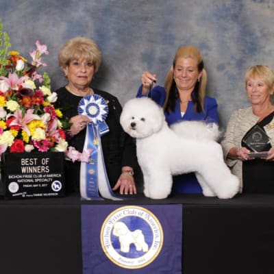 Photo from BFCA NATIONAL SPECIALTY 2017 ATLANTA GA 