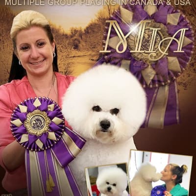 Photo from WINNING THE BFCA NATIONAL IN FLORIDA 2019 