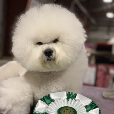 Photo from WINS IN 2019