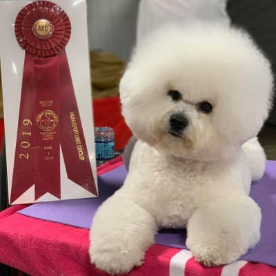 Photo from WINS IN 2019