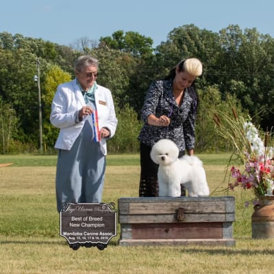 Photo from WINS IN 2019