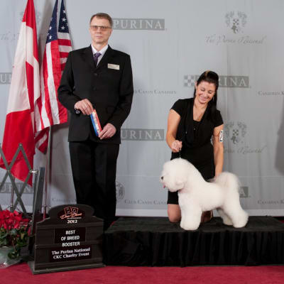 Photo from Purina National March 2012