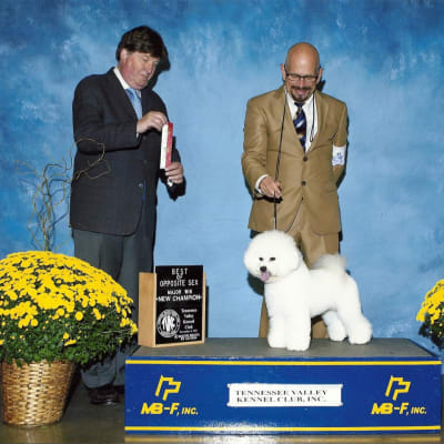 Photo from 2012 American Show wins