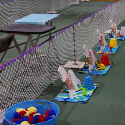 Photo from BFCC 18th National Specialty 2011 Winnipeg, MB