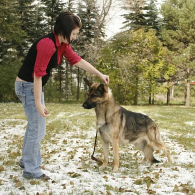 Photo from October 12th Happy Thanksgiving 2009!