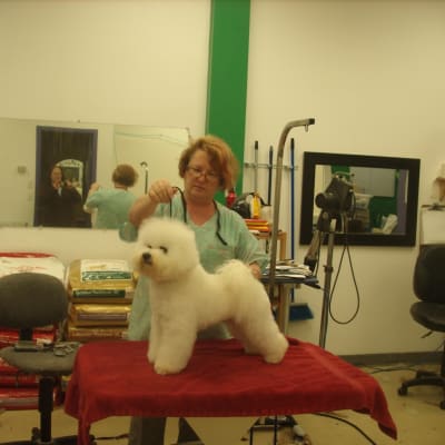 Photo from October -Now, It's "time" That You Met "Lex"!