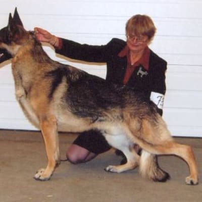 Photo from Sadly We Announce The Passing Of Our "Cruiser"