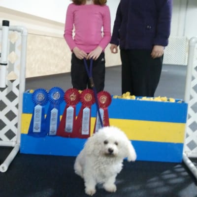 Photo from Michaela And "Zip", Their Way In Agility