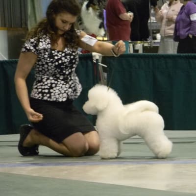 Photo from TONY Welcomes His New Litter