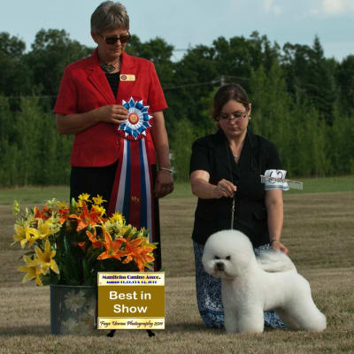 Photo from BEST IN SHOW FOR THE ROLEX BOYS !