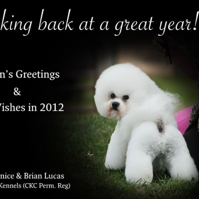 Photo from MERRY CHRISTMAS AND HAPPY NEW YEAR FROM DALNAVERT KENNELS