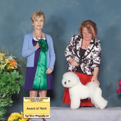 Photo from TONY  WINS  BEST IN SHOW  ! Pictures to follow...