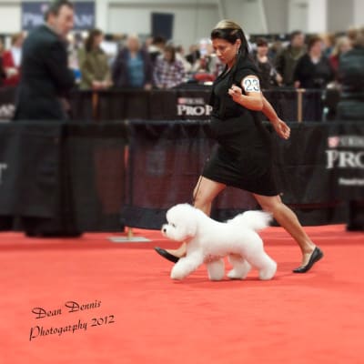 Photo from LEX IS IN THE USA.....