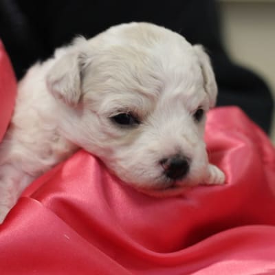 Photo from I'm one of the girls...