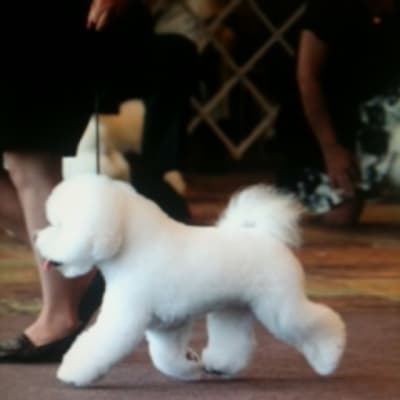 Photo from INTRODUCING " LILY "....