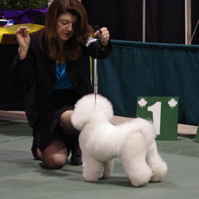 Photo from CONGRATULATIONS  TAZ ..........