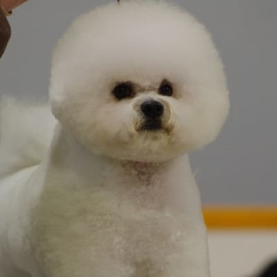 Photo from "TONY" completes another successful weekend !