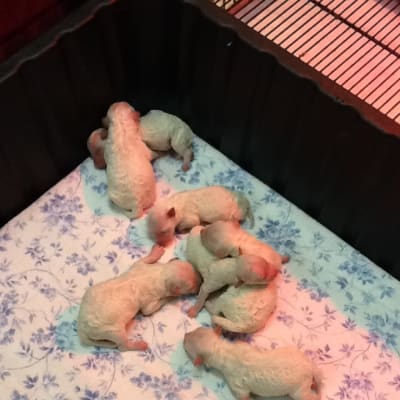 Photo from THE LUCKY 7 ARRIVED ON JUNE 19TH,2012