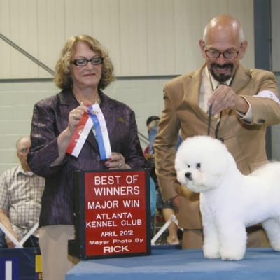 Photo from AM/CAN CH. LUVIT'S DALNAVERT DOUBLE DESTINY