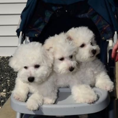 Photo from THE ROLEX BOYS WOULD LIKE TO INTRODUCE THE " MOVADO BOYS"