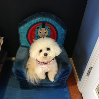 Photo from A TRIBUTE TO A SENIOR..... COCO