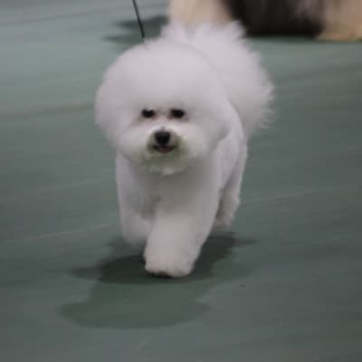 Photo from A  MOVADO  IS  " ALWAYS IN MOTION".......