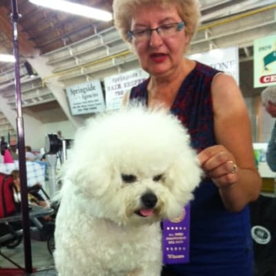 Photo from DALNAVERT LUVIT LITTLE HONDA