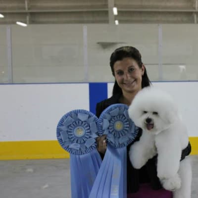 Photo from NEW CHAMPION....MBPIS CH. LUVIT DALNAVERT A MOVADO SPORTIVO