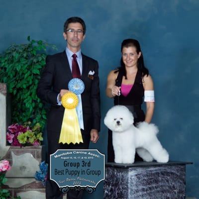 Photo from MBPIS CH. LUVIT DALNAVERT A MOVADO SPORTIVO