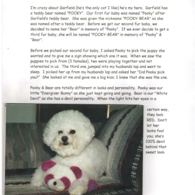 Photo from   " BEAR " KON