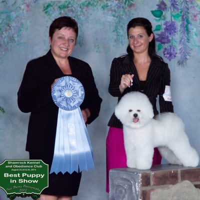 Photo from HAPPY 1ST BIRTHDAY TO  " ROBBIE"....