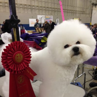 Photo from ROBBIE'S WINS CONTINUE....