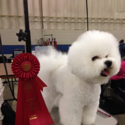 Photo from GREAT START FOR 2014....