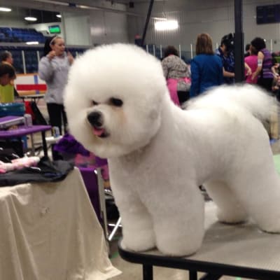 Photo from DAY 2 ALSO GARNERS A GROUP 4 PLACEMENT....