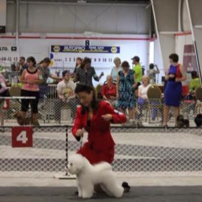 Photo from TEAM WORK !