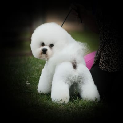 Photo from MEET YOU IN THE NEW YEAR 2015 !