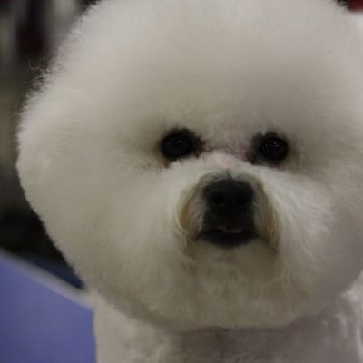 Photo from PURINA NATIONAL DAYS 2 AND 3.............