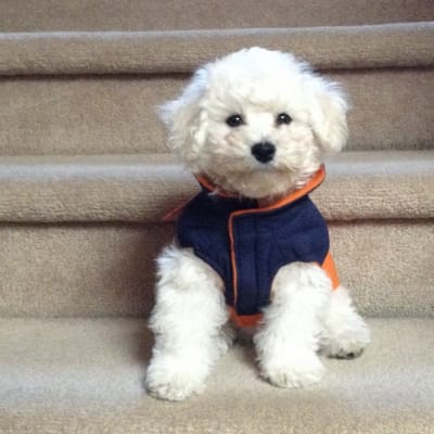 Photo from HI... I'M RONNIE...........