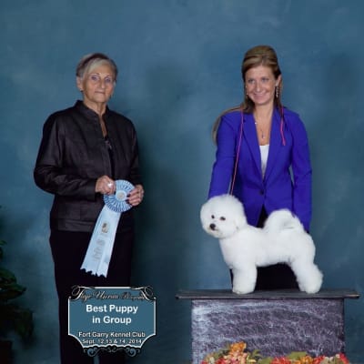 Photo from From Best Puppy in Group to CHAMPION !