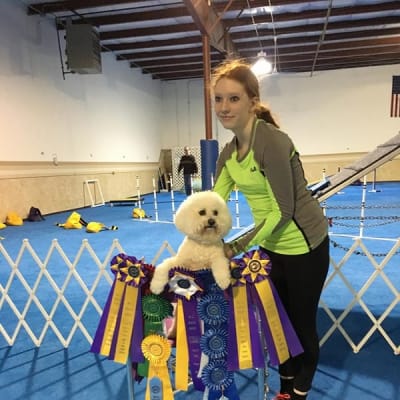 Photo from GRACIE IN AGILITY