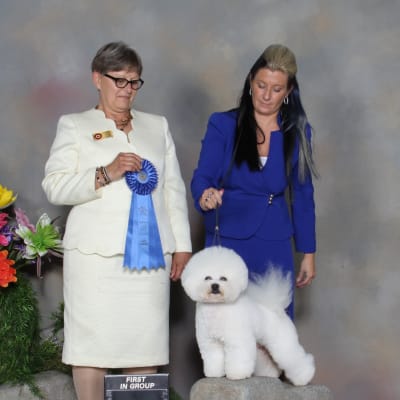 Photo from GREAT RESULTS IN SASKATOON !