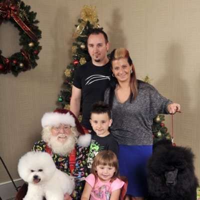 Photo from MERRY CHRISTMAS FROM DALNAVERT KENNELS